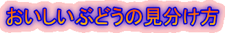 おいしいぶどうの見分け方
