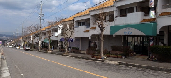 20110319_つつじヶ丘4.jpg