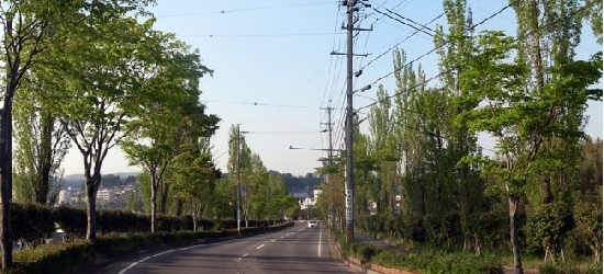 20110505_百合ヶ丘3.jpg