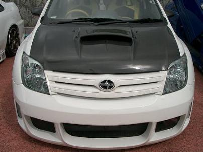 SCION-IST.